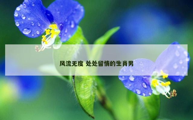 风流无度 处处留情的生肖男
