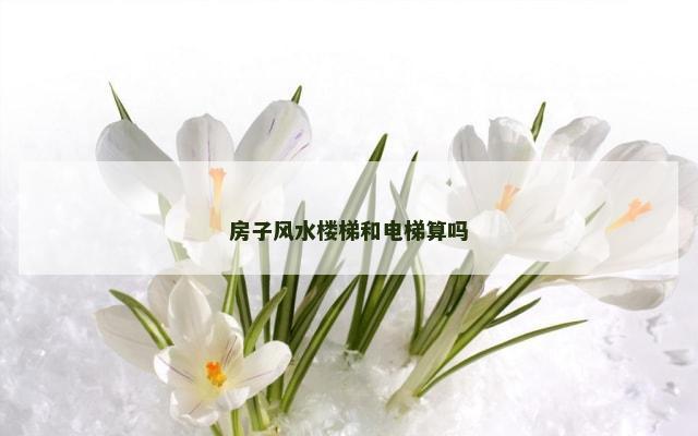 房子风水楼梯和电梯算吗