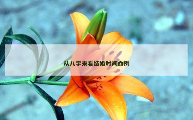 从八字来看结婚时间命例