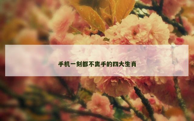 手机一刻都不离手的四大生肖