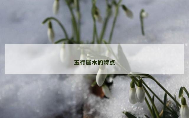 五行属木的特点