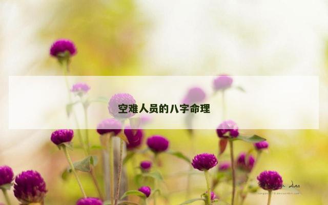 空难人员的八字命理