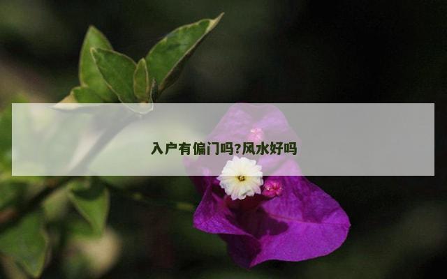 入户有偏门吗?风水好吗