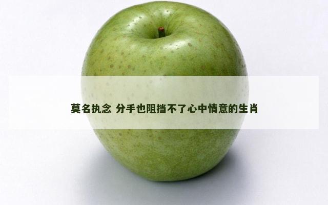 莫名执念 分手也阻挡不了心中情意的生肖