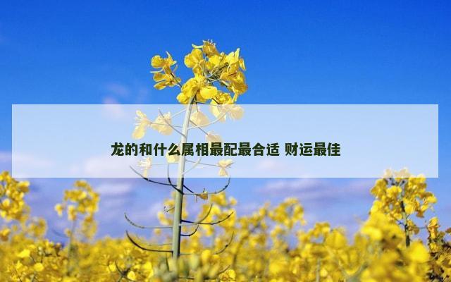 龙的和什么属相最配最合适 财运最佳