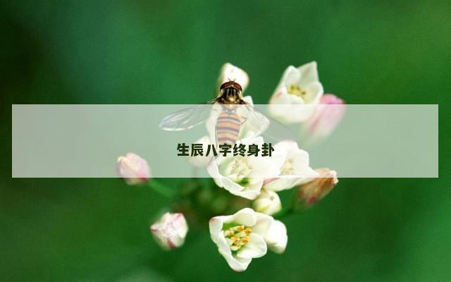 生辰八字终身卦