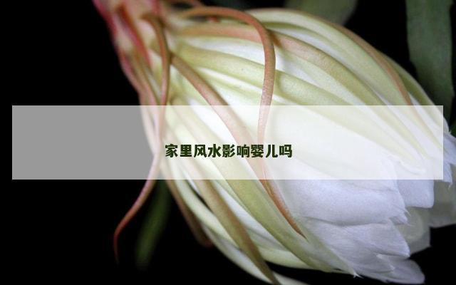 家里风水影响婴儿吗