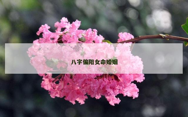 八字偏阳女命婚姻