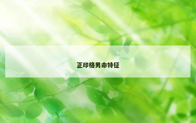 正印格男命特征