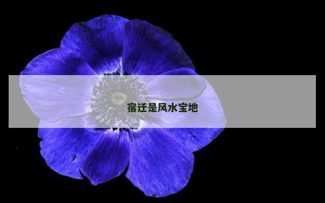 宿迁是风水宝地
