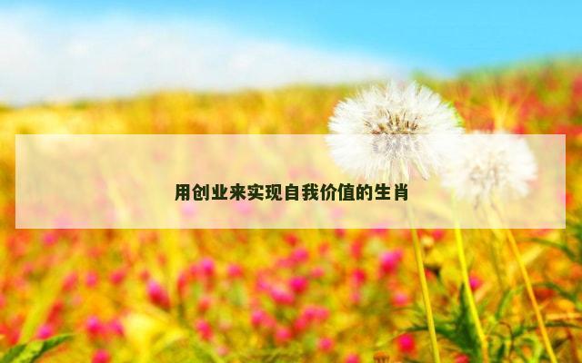 用创业来实现自我价值的生肖