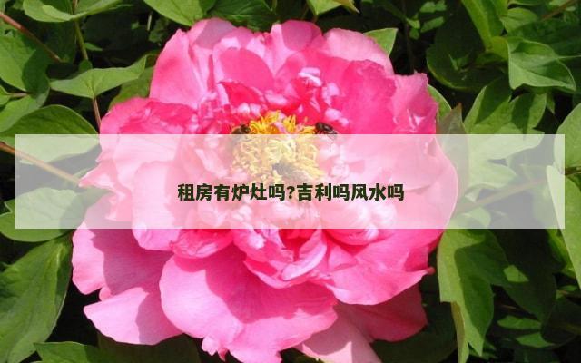 租房有炉灶吗?吉利吗风水吗