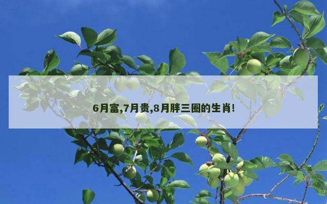 6月富,7月贵,8月胖三圈的生肖!