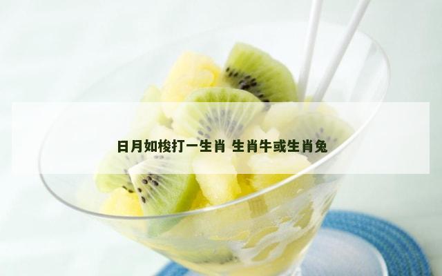 日月如梭打一生肖 生肖牛或生肖兔