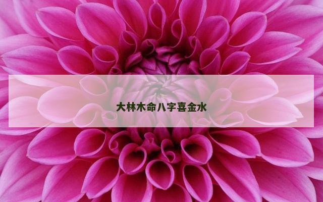 大林木命八字喜金水
