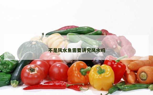 不是风水鱼需要讲究风水吗