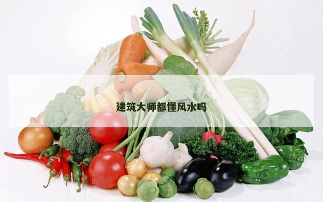 建筑大师都懂风水吗