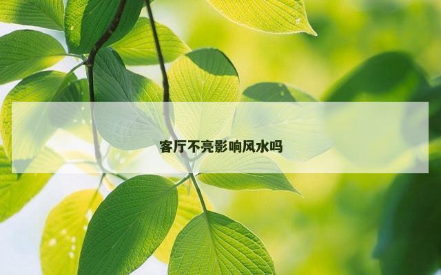 客厅不亮影响风水吗