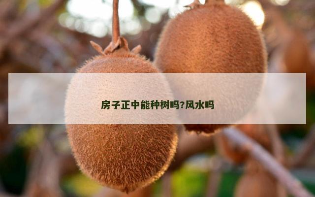 房子正中能种树吗?风水吗