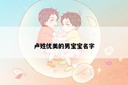 卢姓优美的男宝宝名字