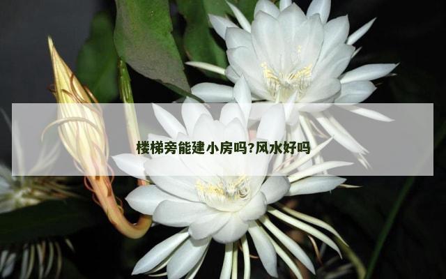 楼梯旁能建小房吗?风水好吗