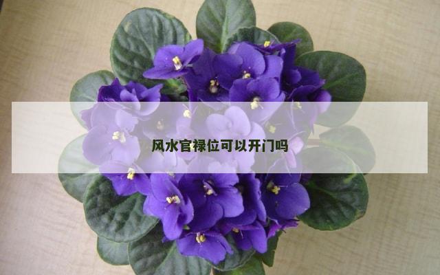 风水官禄位可以开门吗