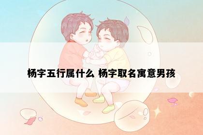 杨字五行属什么 杨字取名寓意男孩