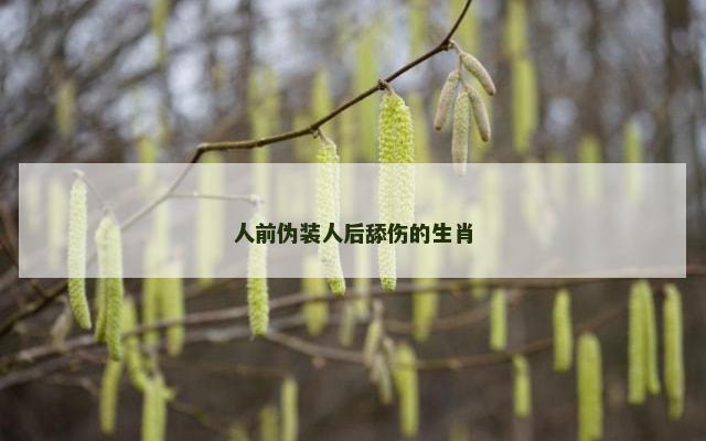 人前伪装人后舔伤的生肖