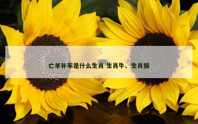 亡羊补牢是什么生肖 生肖牛、生肖猴