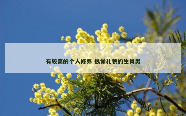 有较高的个人修养 很懂礼貌的生肖男