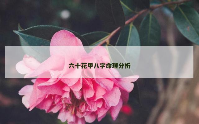 六十花甲八字命理分析