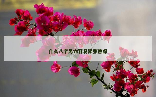 什么八字男命容易紧张焦虑