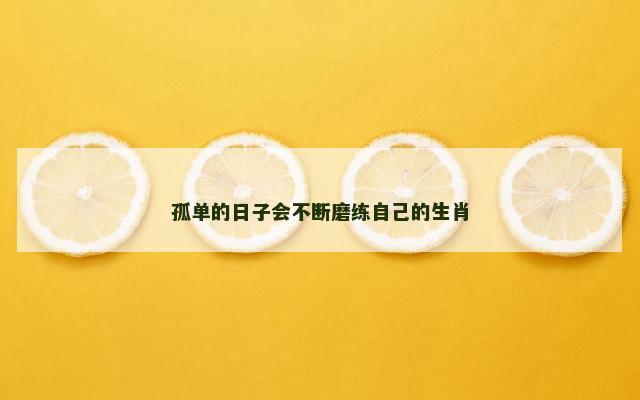 孤单的日子会不断磨练自己的生肖