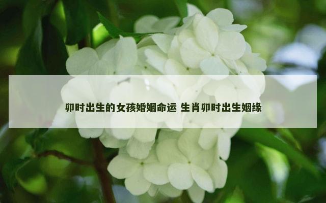 卯时出生的女孩婚姻命运 生肖卯时出生姻缘