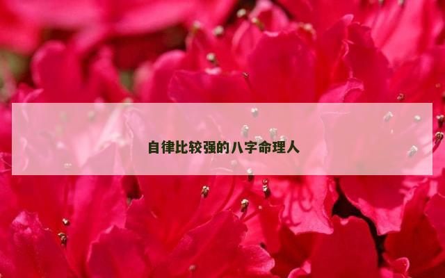 自律比较强的八字命理人