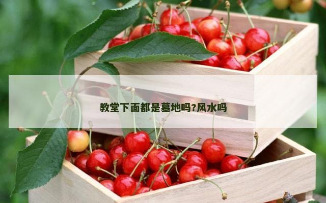 教堂下面都是墓地吗?风水吗