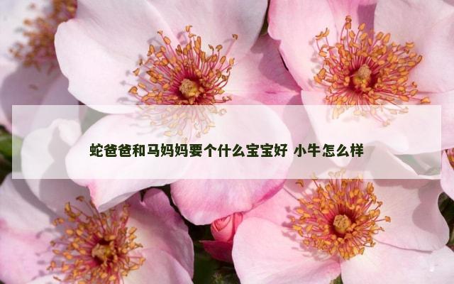蛇爸爸和马妈妈要个什么宝宝好 小牛怎么样