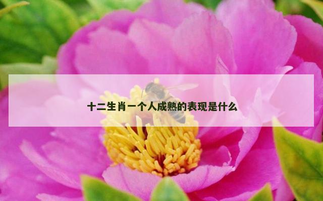 十二生肖一个人成熟的表现是什么