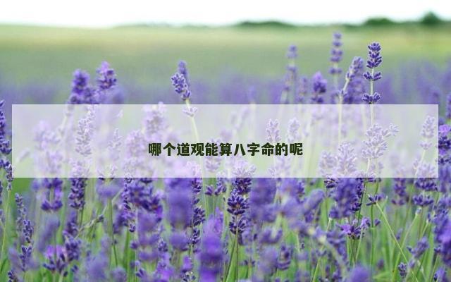 哪个道观能算八字命的呢