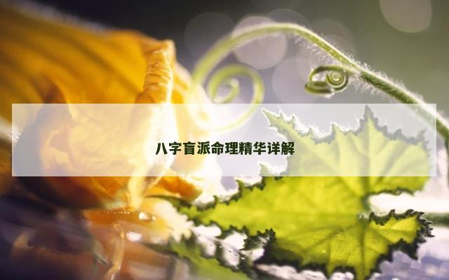 八字盲派命理精华详解