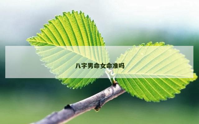 八字男命女命准吗