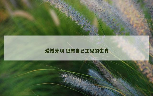 爱憎分明 很有自己主见的生肖