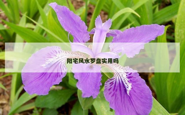 阳宅风水罗盘实用吗