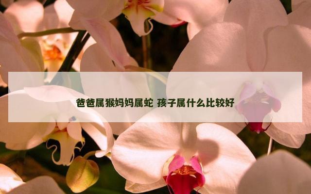 爸爸属猴妈妈属蛇 孩子属什么比较好