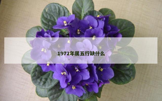 1972年属五行缺什么