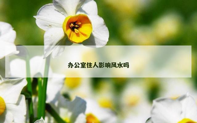 办公室住人影响风水吗