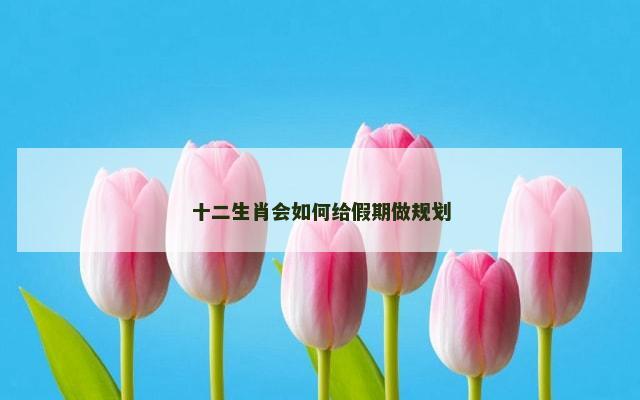 十二生肖会如何给假期做规划