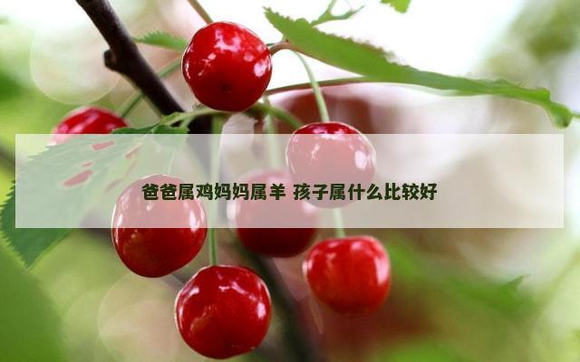 爸爸属鸡妈妈属羊 孩子属什么比较好