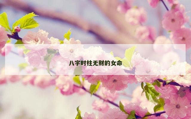 八字时柱无财的女命