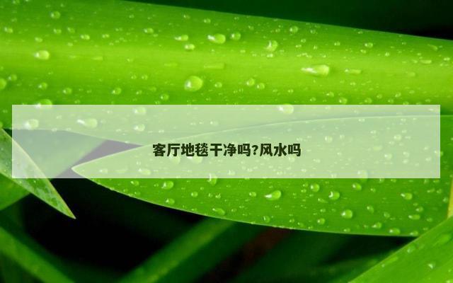 客厅地毯干净吗?风水吗